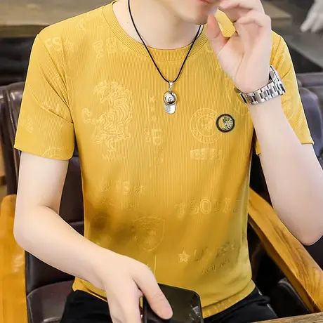 冰丝短袖t恤男潮牌夏季新款条纹冰感半袖体恤男装潮流休闲上衣服商品大图