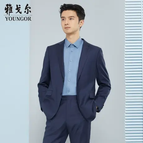【商场同款】雅戈尔男士西服商务休闲羊毛桑蚕丝抗皱西服男S2067图片