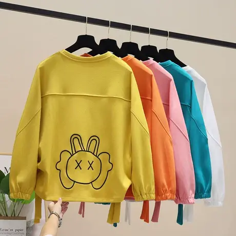 2023春秋新款休闲卫衣女韩版宽松时尚潮ins洋气刺绣上衣百搭外套图片