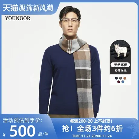 【美利奴羊毛】雅戈尔春男士休闲全羊毛半高领保暖羊毛衫商品大图