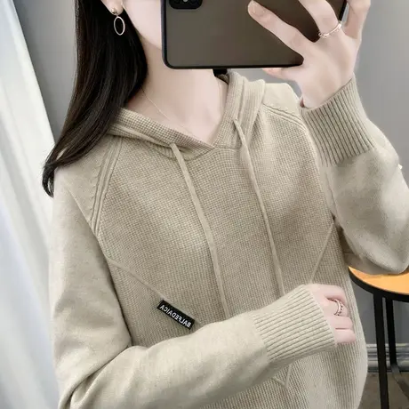 针织卫衣女2023年连帽宽松早秋上衣韩版洋气帽衫秋冬打底加厚毛衣图片