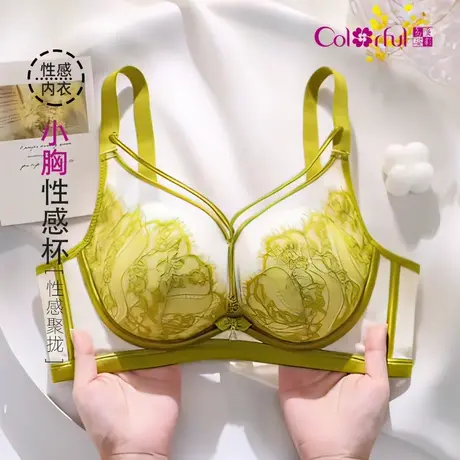 Colorful/多彩多姿内衣女小胸聚拢薄款防下垂性感文胸无钢圈胸罩商品大图