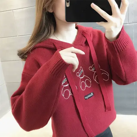 早秋外套2023新款女装秋款毛衣女宽松外穿上衣内搭连帽针织衫卫衣商品大图