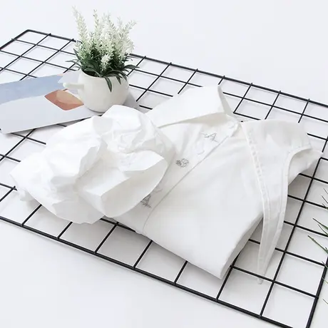 2021春装新款日系森女小清新灯笼袖尖领白色衬衫女学院风宽松上衣商品大图