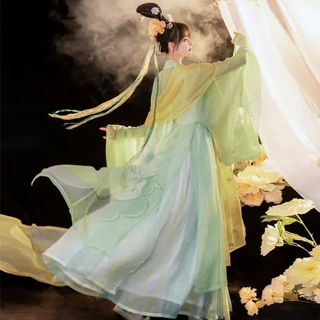 【如梦霓裳丨雨菡】原创汉服女夏唐制诃子裙古风仙气飘逸大袖衫薄图片