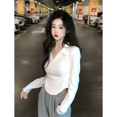 V领纯欲性感长袖T恤女秋季韩版显瘦修身小个子短款纯色简约上衣服商品大图
