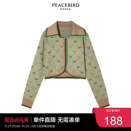 太平鸟气质流行春秋女士时尚年新款主题纹样套头衫A1EEC1G52图片