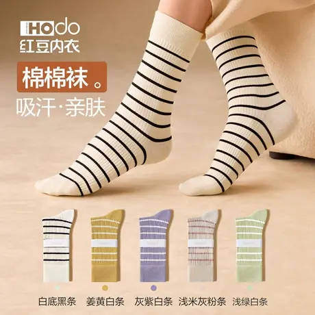袜子女中筒袜秋冬季条纹棉袜抗菌透气月子袜吸汗防臭潮流女士长袜图片