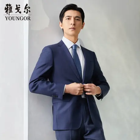 【商场同款】雅戈尔男士西服商务休闲进口面料纯羊毛西装男S2077图片