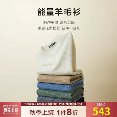 【100%绵羊毛】九牧王羊毛衫男秋冬新款休闲保暖舒适圆领针织毛衣图片