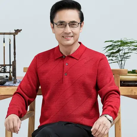 中老年人爸爸装T恤长袖翻领打底上衣男士本命年冬季加绒款Polo衫图片