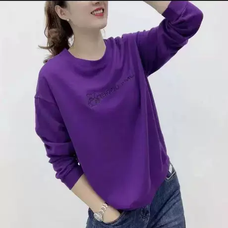 新款时尚卫衣女套头秋季长袖上衣洋气遮肚显瘦纯色刺绣圆领T恤衫商品大图