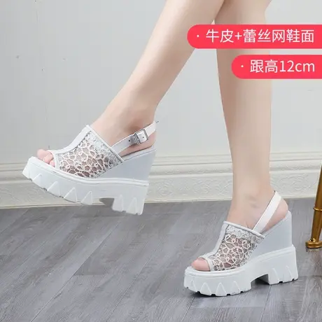 矮子乐婚鞋女夏季透气坡跟休闲鱼嘴凉鞋扣带防水台婚纱神器高跟鞋商品大图