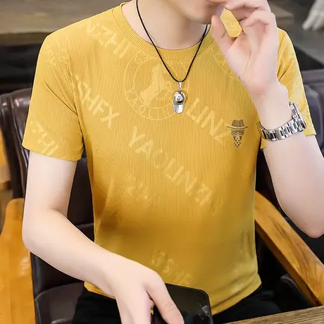 男士短袖t恤宽松2023新款夏季潮流牌港风半袖圆领打底衫体恤上衣T商品大图