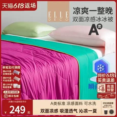 ELLE DECO塔尔薇夏季新品双面冷感被A类可水洗空调夏被午休薄被子商品大图