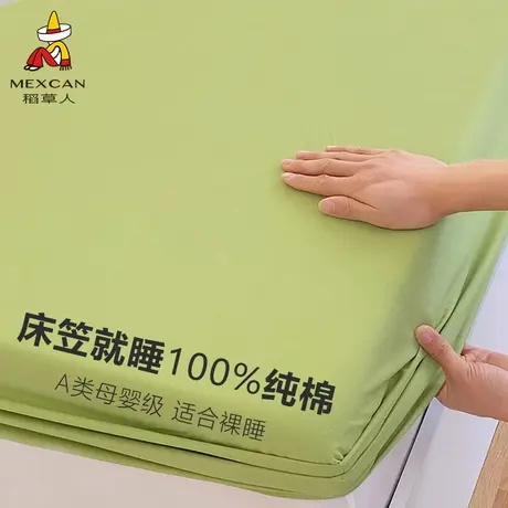 纯色床笠纯棉100全棉床罩单件单人床单床垫套罩2025新款四季通用商品大图