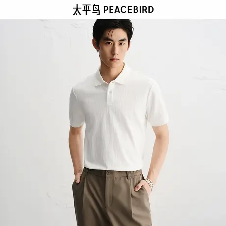 【商场同款】太平鸟男装立体提花Polo衫秋新款针织短袖B1COF3112商品大图