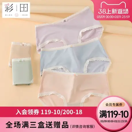 彩田女士夏季莫代尔纯色蝴蝶结柔软轻盈透气抗菌底裆中腰三角内裤商品大图