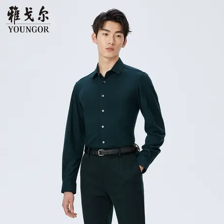 【柔软易打理】D系雅戈尔衬衫秋季新款免烫商务休闲长袖衬衫商品大图