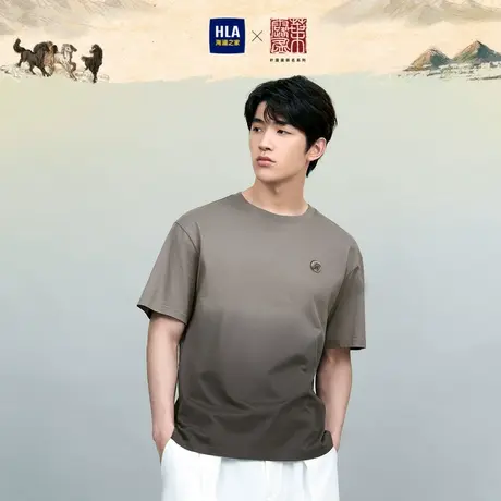 HLA/海澜之家叶露盈联名中华大地系列短袖T恤圆领纯棉绣花短t男图片