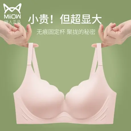 猫人内衣女聚拢小胸固定杯调整型收副乳矫正防下垂冬季加厚文胸罩图片