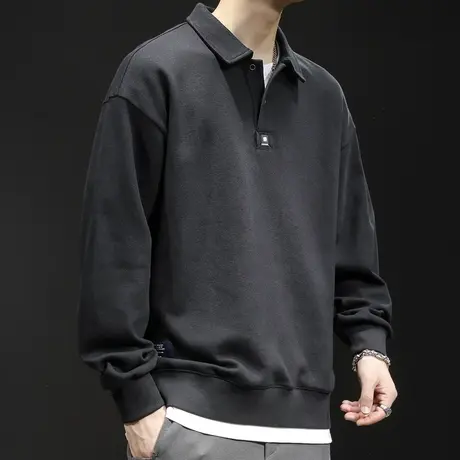 Polo卫衣男加绒长袖潮牌男款春秋大码男士上衣假两件春季2024新款商品大图