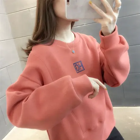 卫衣女春秋薄款2023年新款春装刺绣圆领套头韩版宽松短款洋气上衣图片