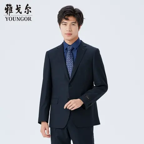 【商场同款】雅戈尔男士西服秋冬官方商务休闲进口面料西服S2435图片