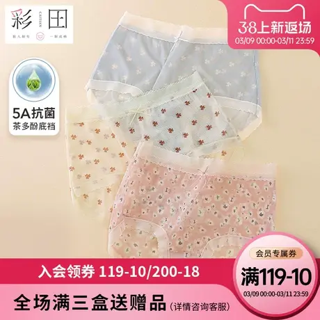 彩田内裤夏季网纱透气印花蝴蝶结茶多酚抗菌底裆女士中腰三角内裤商品大图