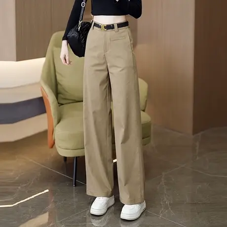 天丝棉窄版直筒裤女宽松显瘦春秋2025年新款垂感百搭阔腿休闲裤子商品大图