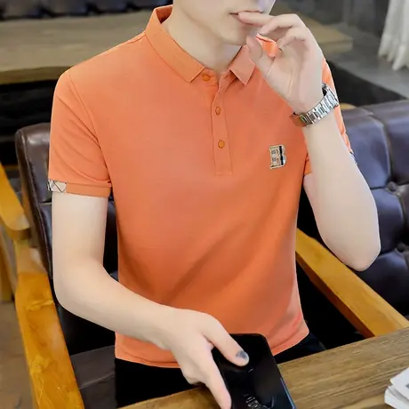 短袖t恤男2022新款潮牌纯棉夏季翻领冰丝polo衫有领体桖上衣服商品大图