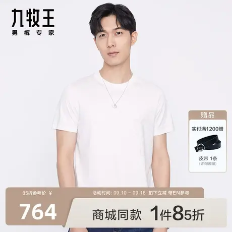 [商场同款]九牧王男装HT2C20617短袖T恤23夏季新款亲肤时尚印花EN图片