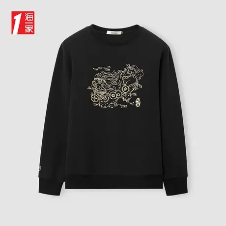 海一家时尚有型绣花套头衫2024春季新款舒适圆领休闲卫衣男商品大图