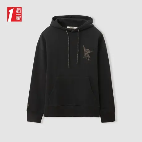 海一家后背时尚绣花上衣2024春季新款休闲抽绳连帽舒适卫衣男商品大图