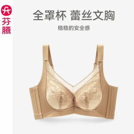 芬腾内衣女士透气舒适聚拢文胸性感蕾丝软钢圈大胸显小收副乳胸罩商品大图