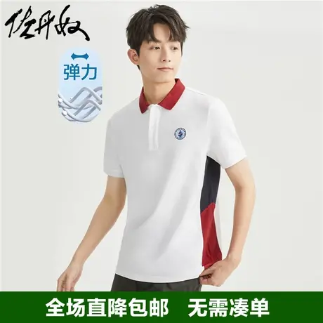 佐丹奴Polo衫男夏撞色绣章针织弹力珠地布翻领短袖上衣男13013309商品大图