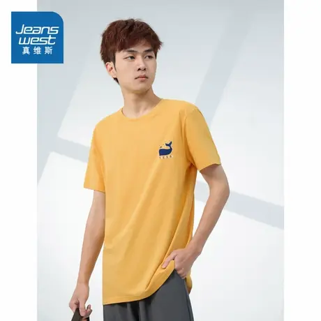 DE真维斯男装纯棉体恤上衣2023夏季新款青年圆领休闲时尚短袖T商品大图