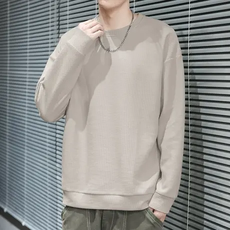 2023新款重磅华夫格卫衣男士潮牌秋冬款加绒加厚圆领无帽长袖t恤商品大图