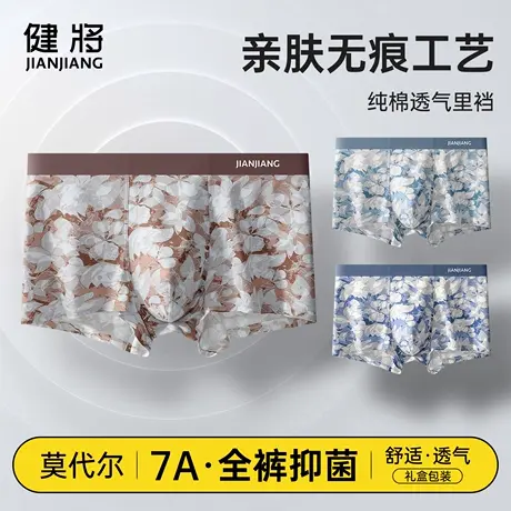 健将品牌男士内裤莫代尔无痕抗菌四角短裤头男款高档透气平角裤衩商品大图