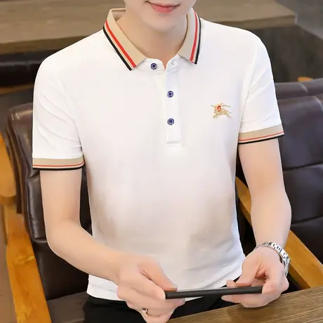 2023夏装刺绣短袖Polo衫男修身翻领t恤港风百搭全棉半袖上衣潮流商品大图