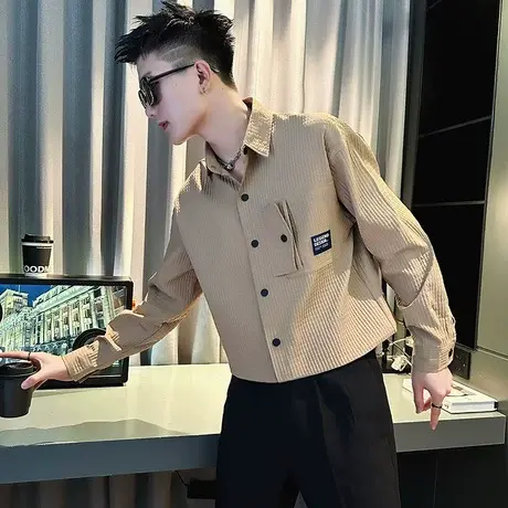 潮牌男装新款重磅秋季长袖衬衫华夫格小众INS衬衣休闲高级感上衣图片