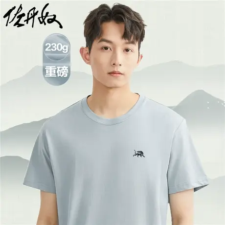 佐丹奴T恤男装纯棉针织国风刺绣圆领短袖T恤 13021058商品大图