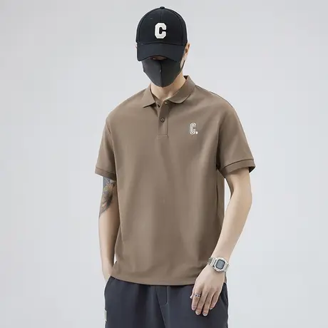 夏季有领t恤男装衬衫领短袖Polo衫男士翻领体恤男款夏日半袖上衣商品大图