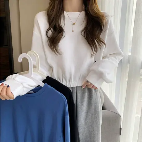 白色t恤女长袖2023新款春秋韩版宽松学生打底衫短款高腰上衣潮ins商品大图