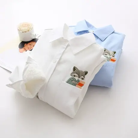 学院风秋冬季文艺小清新刺绣加绒衬衫女长袖保暖百搭打底衬衣加厚图片