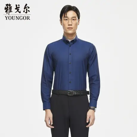 【DP免烫】D系雅戈尔衬衫秋季商务休闲纯棉免烫柔软修身长袖衬衫商品大图