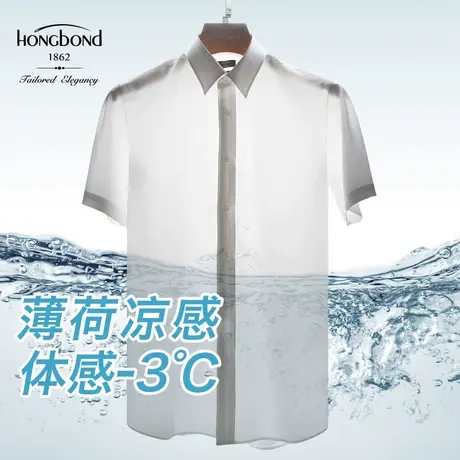 红邦创衣 2023夏清凉短袖冰凉舒适衬衫休闲抗皱易打理上班穿纯色图片