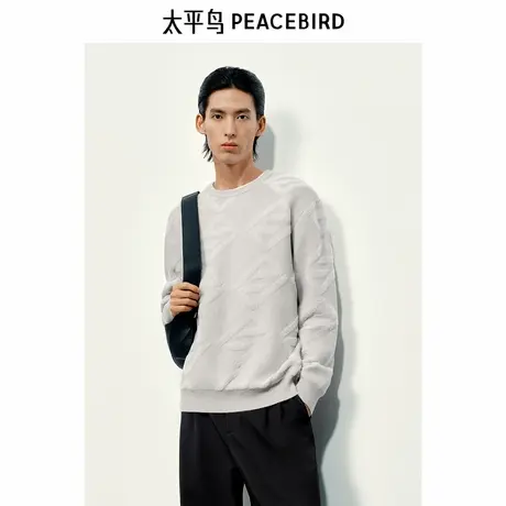 【商场同款】太平鸟男装绒感提花毛衣冬新款圆领针织衫B1EBE4509图片
