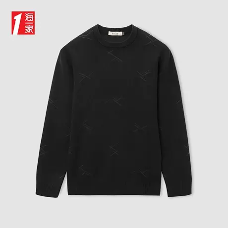 海一家简约花纹套头衫2023冬季新款舒适休闲圆领男士长袖针织衫图片
