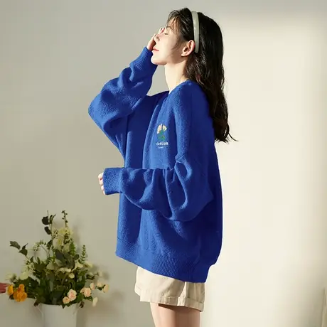 唐狮早秋新款女毛衣圆领套头蓝色毛衣韩版chic宽松简约风毛衫女商品大图